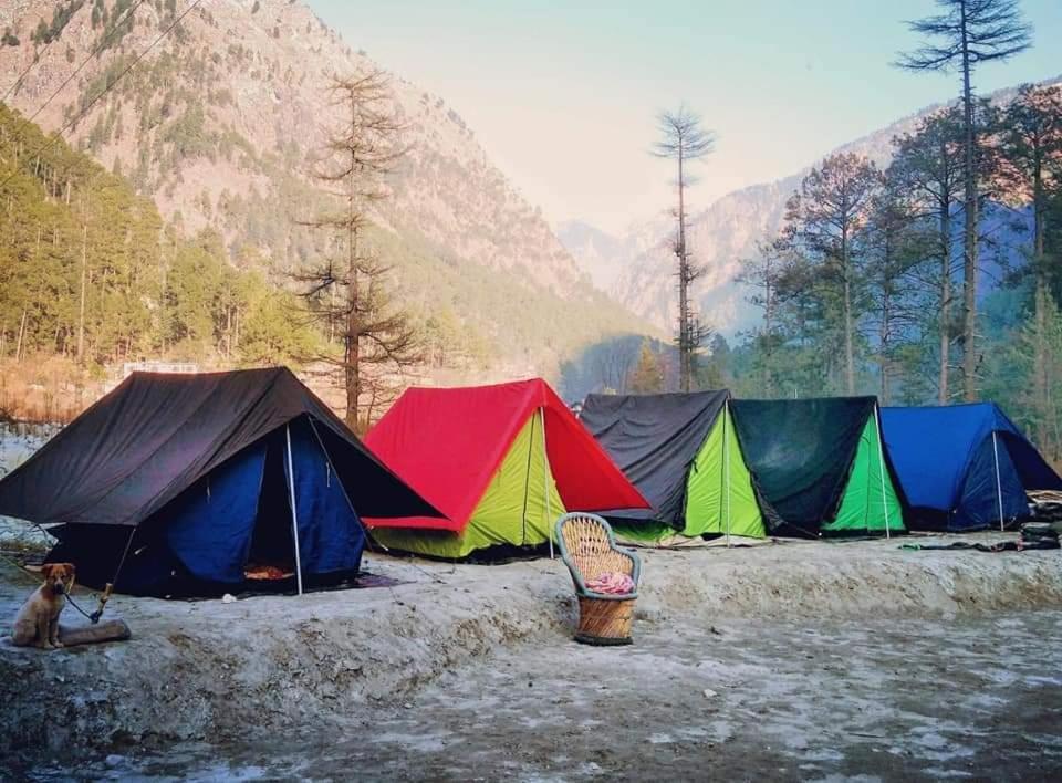 Stayhigh Camps & Cottages 카솔 외부 사진