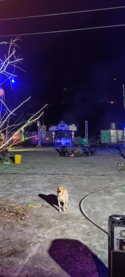 Stayhigh Camps & Cottages 카솔 외부 사진